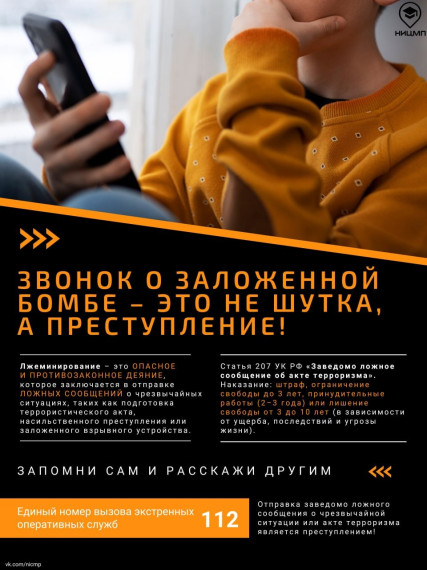 Региональная программа "Цифровая гигиена".